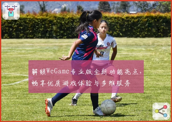 解锁WeGame专业版全新功能亮点，畅享优质游戏体验与多维服务