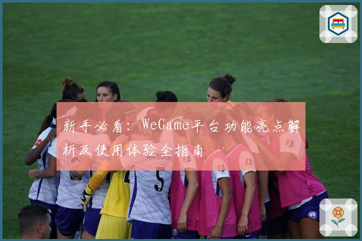 新手必看：WeGame平台功能亮点解析及使用体验全指南