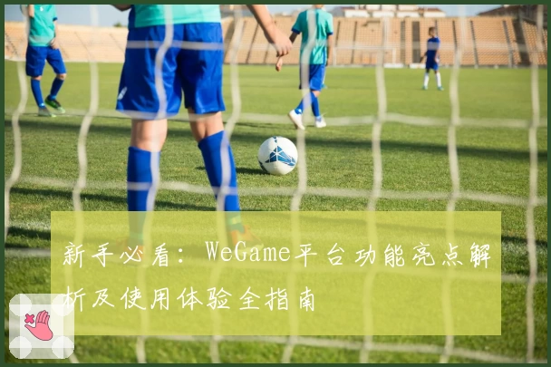 新手必看：WeGame平台功能亮点解析及使用体验全指南